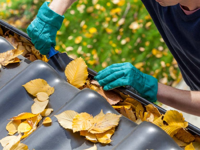 Eavestrough cleaning