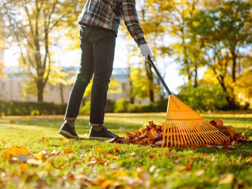 Fall yard cleanup services