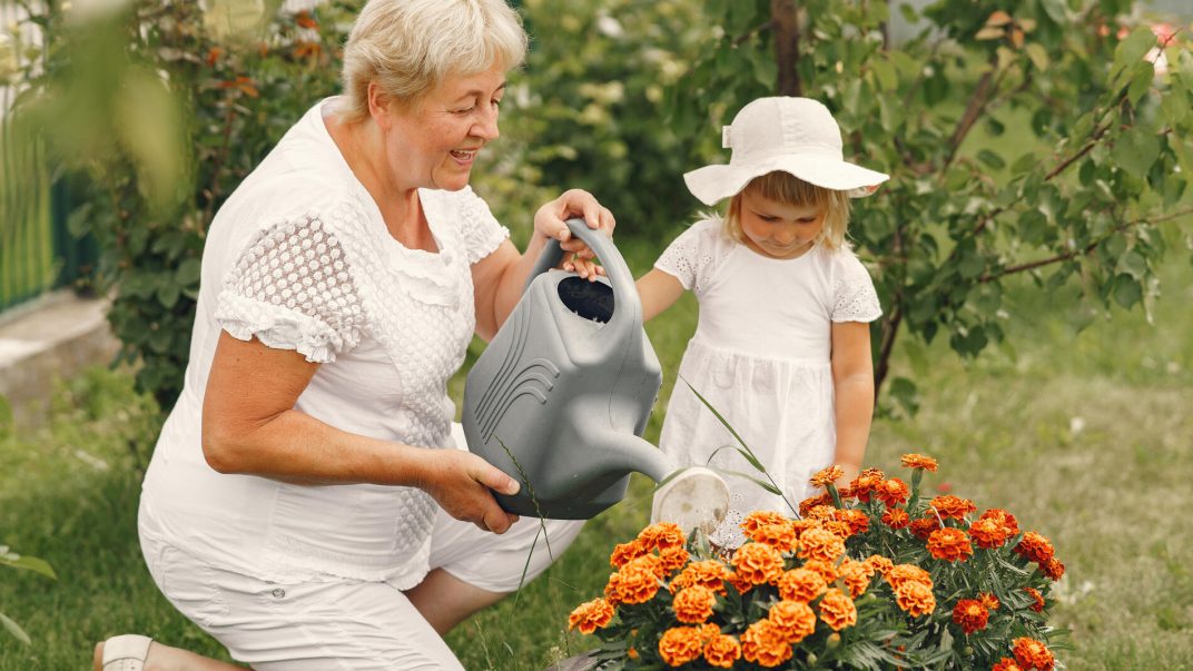 1. An elderly woman and a young girl happily watering colorful flowers in a garden.