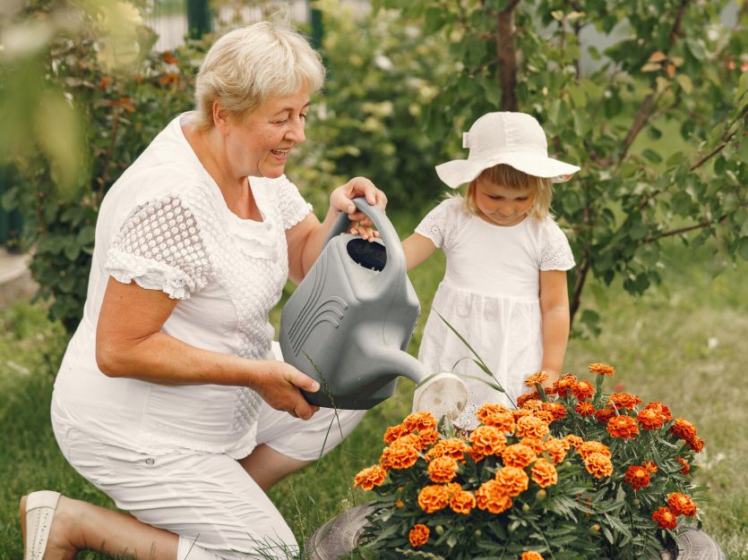1. An elderly woman and a young girl happily watering colorful flowers in a garden.