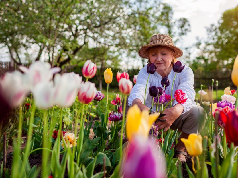 Spring into wellness: How the season of renewal can boost your health 15 older adult spring