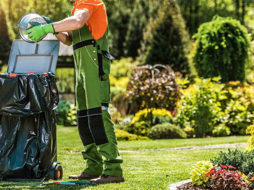 spring time back yard garden maintenance cleaning 2