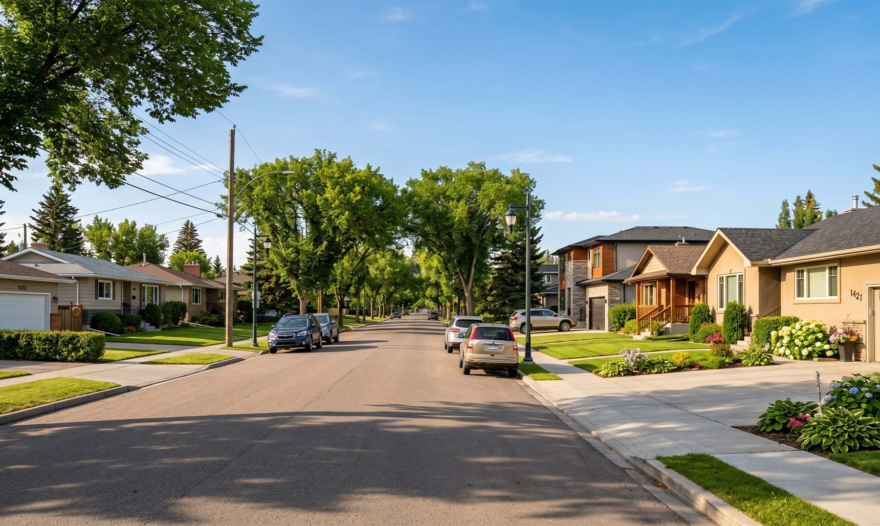Neighbourhood in Calgary