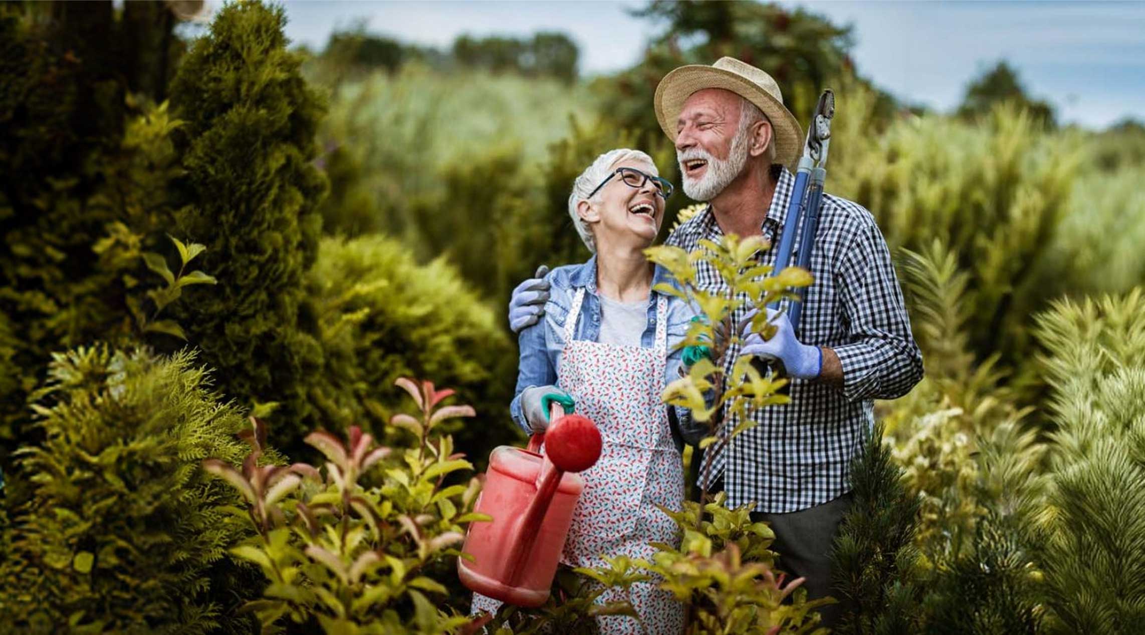 Happy couple gardening together outdoors.