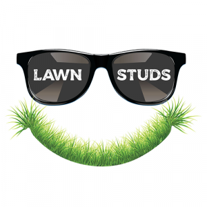 Lawn Studs 9 Lawn Studs logo