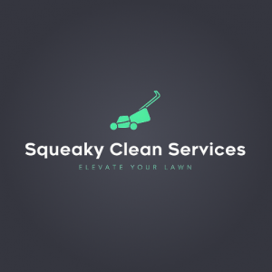Squeaky Clean Services 3 Squeaky Clean logo